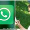 How To Mute WhatsApp Call From Someone