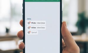 Save View Once Photos on WhatsApp